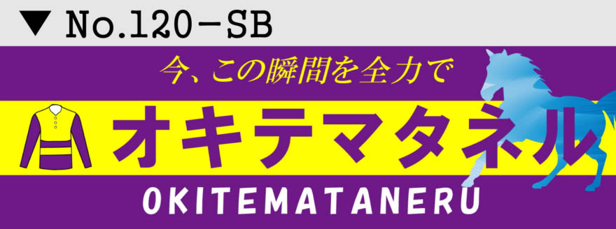 スポーツ応援幕 部活横断幕 デザイン20